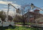 Programan un corte de energía para trabajos de poda en Nueva Bahía y aledaños