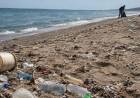 Convocan a voluntarios para participar del censo de residuos en la playa