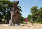 Pehuen Co invita a viajar en el tiempo: la ruta de la Megafauna que sorprende en Plaza Carrasco