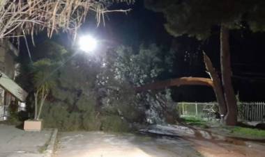 Alerta Meteorológica por fuertes vientos para este jueves y viernes en Coronel Rosales