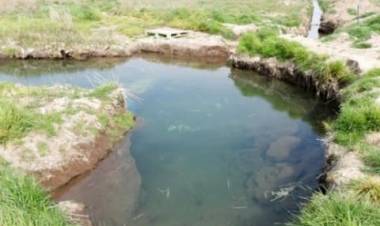 Uset: "Ya no hay presión de agua y el verano será complicado"
