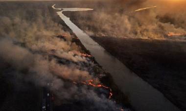 Ley de Humedales: Diputados debatirá en plenario de comisiones las iniciativas