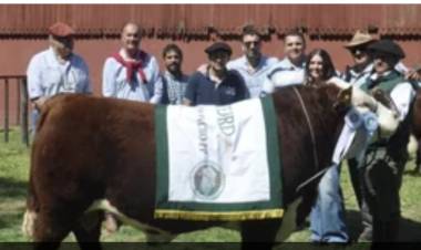 Polled Hereford: el premio mayor de la rural bahiense se fue para Punta Alta