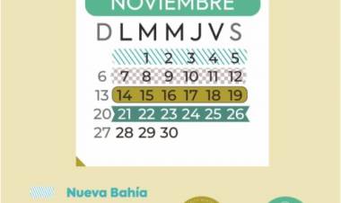 Inició hoy el cronograma de recolección de voluminosos del mes de noviembre 2022
