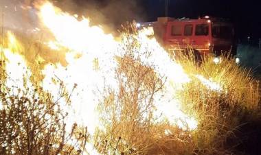 Varios incendios forestales se registraron en menos de 48 horas en Coronel Rosales