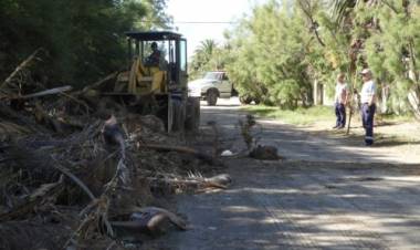 El Municipio continúa los trabajos de limpieza y protección costera en Villa del Mar 