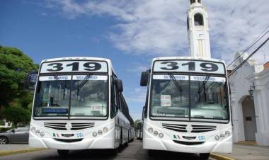 "Es urgente la implementación de la SUBE en la línea 319" dijo Maidana