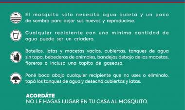 El Municipio refuerza la fumigación contra el Aedes y recuerda cómo extremar las medidas preventivas 