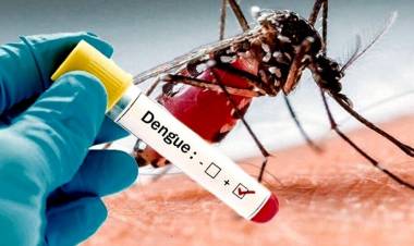 Se detectó un caso de dengue en Punta Alta