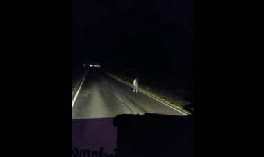 La Policía identificó a una mujer que caminaba por la ruta 3