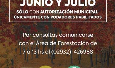 Cómo se realiza la poda con los permisos correspondientes por parte del Municipio