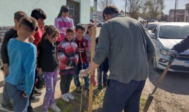 Por el “Día del árbol” el Municipio planta ejemplares en espacios públicos y distintos barrios 