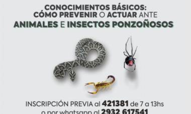 El Municipio brinda nuevos talleres de RCP y prevención frente a animales ponzoñosos