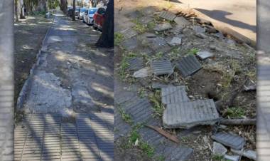 Piden que se reparen las veredas por que dificultan el acceso al Parque Sarmiento