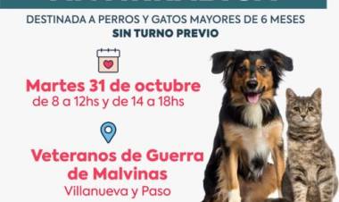 El martes 31 de octubre de 2023 se llevará a cabo una nueva campaña de vacunación antirrábica  