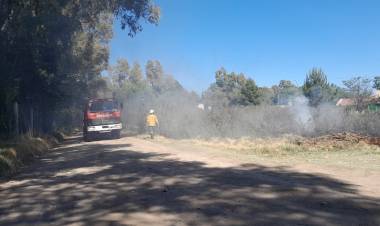 La sequía, el viento y altas temperaturas generan incendios forestales en Coronel Rosales