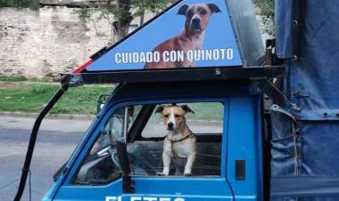 Se negó a hacer un flete a Pago Chico porque no lo dejan entrar con su perro