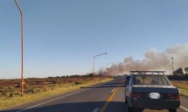 Gran incendio forestal generó el corte por unas horas de la ruta 229