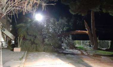 Trabajadores de Defensa Civil pidieron donar sus horas extras para familias afectadas