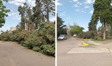 Vecinos del Barrio Gottling realizarán tareas de limpieza en la plaza afectada por el temporal