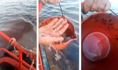 Derrame de petróleo en la ría: El Gobierno de la Provincia analiza las sanciones a la empresa