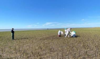 Según Oiltanking ya se remediaron 2.500 metros cuadrados del derrame de petróleo en la ría