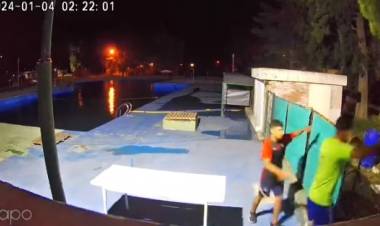 Delincuentes ingresaron a robar a las instalaciones del Punta Alta Rugby Club