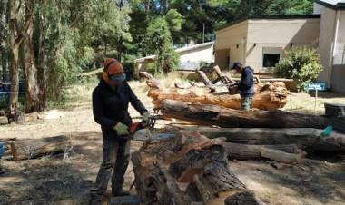 Este viernes comienza el Encuentro Nacional de Escultura en Pehuen Co