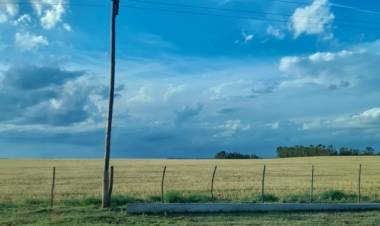 Productores cercanos a Pehuen Co no tienen energía eléctrica desde el 16 de diciembre de 2023