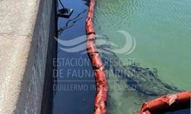 Denuncian un nuevo derrame de hidrocarburos en la ría