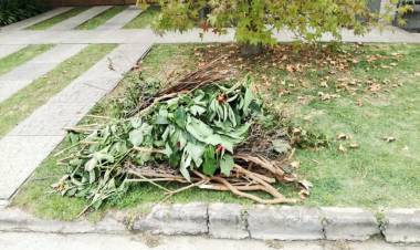 Medina: “Cuando haya más de un metro cúbico de residuos, se multará a los vecinos”