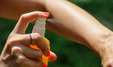 El Gobierno Nacional abrió la importación de repelentes por el brote histórico de dengue