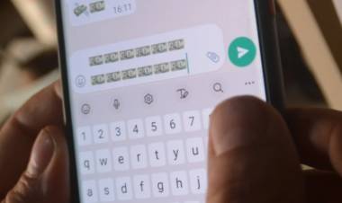 Se propone crear un programa para prevenir ciberdelitos 