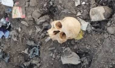 Se encontraron restos óseos en el relleno sanitario de Punta Alta