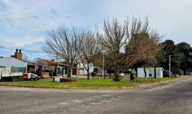 Se realizó al remoción de cordones peatonales en el Boulevard Avellaneda