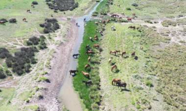 Se hizo un diagnóstico sobre los riesgos de los canales aliviadores