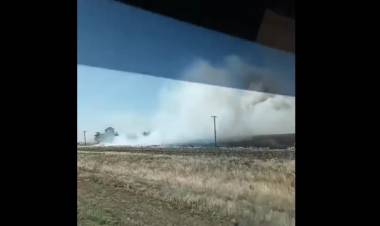 Bomberos de Punta Alta, Pehuen Co y Dorrego sofocaron un incendio forestal en la zona de Las Oscuras 