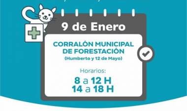 Se realizará una campaña de vacunación antirrábica