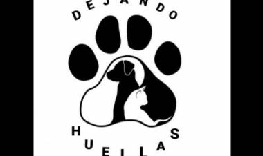 Se realizó una donación de bolsas de alimento a la agrupación proteccionista “Dejando Huellas”