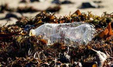 Detectan cuál es el residuos más encontrado en playas como Arroyo Pareja