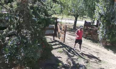 Un delincuente ingresó a robar a un departamento de turistas en Pehuen Co