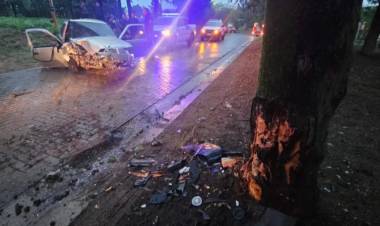 Un auto impactó contra un árbol en el interior del Parque San Martín