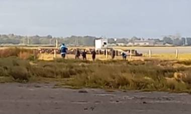 Confirman que los restos hallados en Puerto Belgrano son de Delfina Hecker