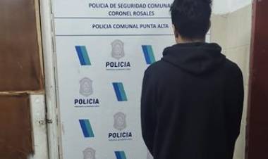 Dos hombres fueron aprehendidos en distintos hechos de violencia familiar y desobediencia