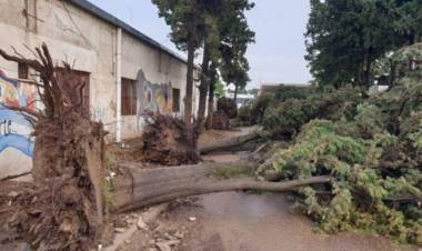 Se cumplen hoy dos años del temporal más devastador que se recuerda en Coronel Rosales