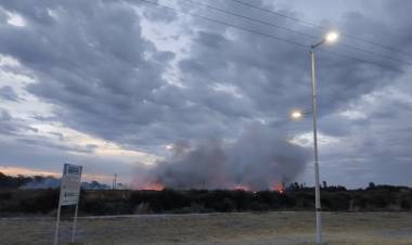Bomberos de Base Naval Puerto Belgrano y Punta Alta trabajaron en incendio forestal 