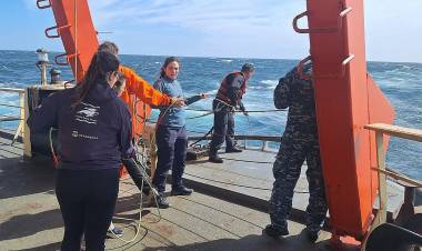 Científicos realizan estudio de cetáceos a bordo del rompehielos ARA “Almirante Irízar”