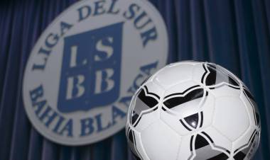La Liga del Sur definió lineamientos para la temporada 2026