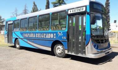 Así quedó el servicio de transporte local, a 40 días de la quiebra de Puntaltense S.A.