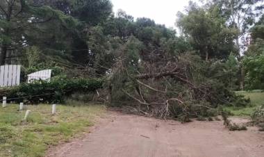 Los vientos fuertes ocasionaron daños en Pehuen Co y Arroyo Pareja